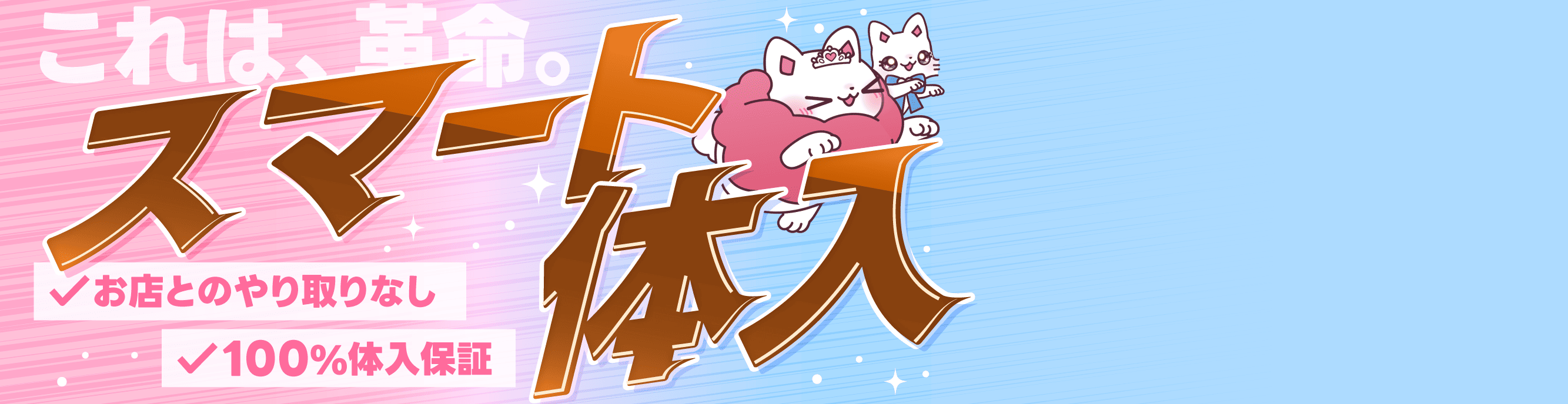 スマート体入