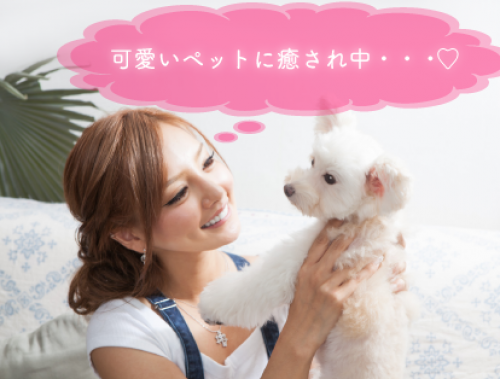 キャバ嬢が本気でペットにしたい可愛い子犬3選！